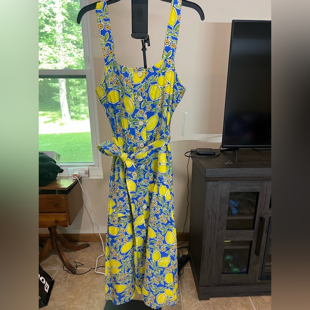 TCEC Blue and Yellow Lemon-Print Midi Dress
